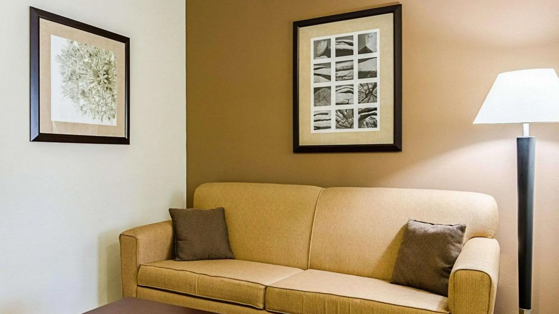 4 Comfort Brand Hotels in Kansas That Stand Out